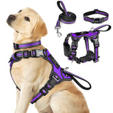 Arnés WINSEE 3 en 1 con reflejo para perros, mejor visibilidad durante paseos.
