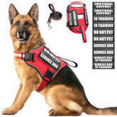 ARNÉS WINSEE para perro de servicio, cómodo para paseos diarios.
