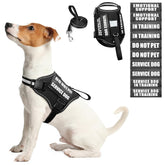 WINSEE arnés para perro con chaleco visible, cómodo para paseos diarios.