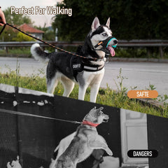 Ajuste cómodo del collar de cabeza wintchuk para perros.