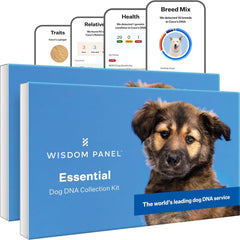 Wisdom Panel Essential dos unidades, prueba de ADN para conocer razas y cuidados