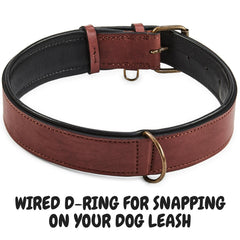 Hebilla doble segura del collar Wise Owl para mayor seguridad.