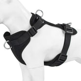 Arnés Wisedog con clip frontal para control suave en paseos.