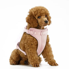 Wisedog arnés sin tirón con acolchado suave para paseos cómodos