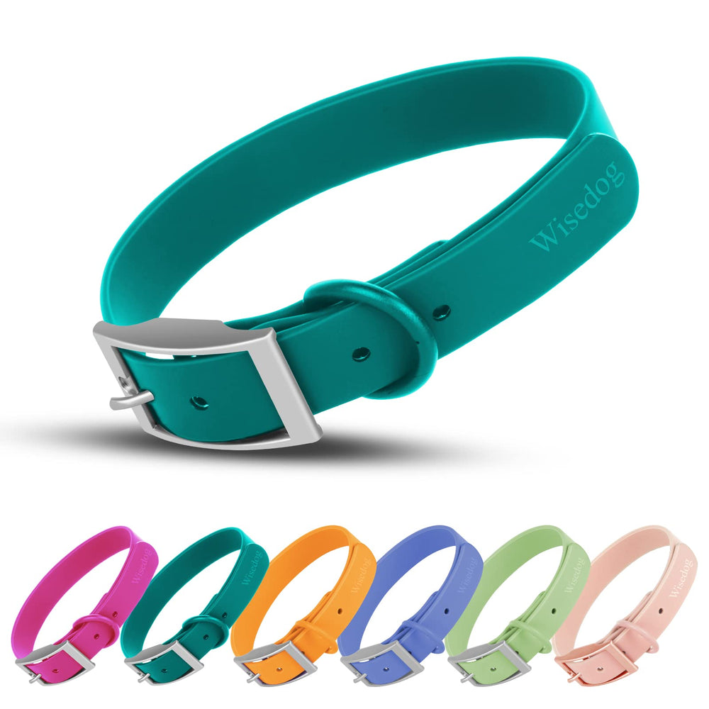 Collar Wisedog impermeable esmeralda, perfecto para paseos en lluvia