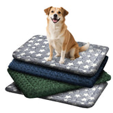 Cama Wittop para perro lavable, descanso suave en casa