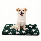 Cama para perro Wittop lavable y acolchada, ideal para descanso cómodo en casa.