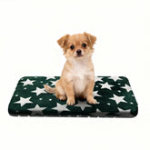 Cama Wittop para perro lavable, vista general en verde, diseño práctico.