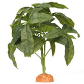 WOLEDOE arbol dinero falso realista para terrario, aporta aspecto natural para reptiles.