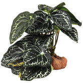 WOLEDOE plantas para reptiles con anthurium crystallinum falso, añade color y realismo al terrario