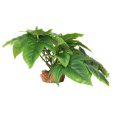 WOLEDOE plantas falsas para terrario con hojas realistas de batata dulce para reptiles