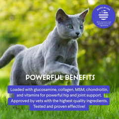 Wonder Paws ingredientes: colageno, glucosamina y condroitina para articulaciones.