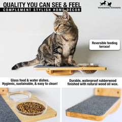 Wondering Whiskers cuencos de vidrio para alimentación estable y cómodo flujo