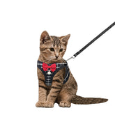 Arnés WONNABUY para gato de malla respirable, ideal para paseos cómodos.