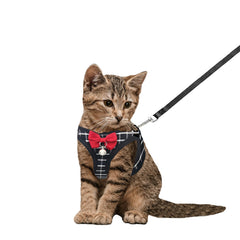 Arnés WONNABUY para gato de malla respirable, ideal para paseos cómodos.