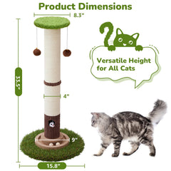 Woochpet pelotas colgantes rasca gatos estimulan juego diario
