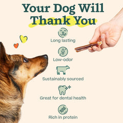 WOOF Bully Sticks, variedad de tallas, aptos para perros pequeños, medianos y grandes.