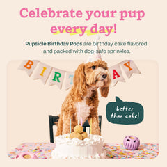 WOOF Pupsicle Cumpleaños, detalle de ingredientes naturales para snack sabroso y seguro.