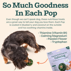 WOOF Pupsicle ingredientes de alta calidad para una merienda nutritiva.