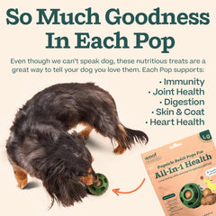 WOOF Pupsicle perro en aventura disfrutando snack saludable