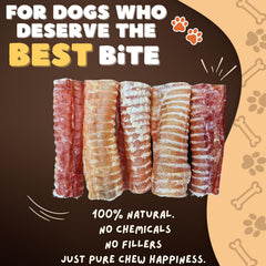 Woofley's tráquea de res envase 10 piezas, premio natural para perros.