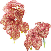 Woyrise Heuchera rosa, hojas colgantes para terrario, refugio visual