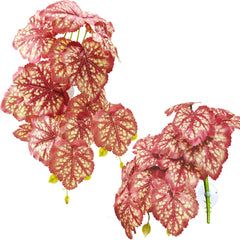 Woyrise Heuchera rosa, hojas colgantes para terrario, refugio visual