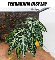 Planta decorativa para terrario Woyrise, Alocasia Negro Terciopelo, realista y segura.