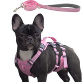 Wuffley arnés a prueba de escapes rosa XS para paseos seguros.