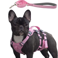 Wuffley arnés a prueba de escapes rosa XS para paseos seguros.