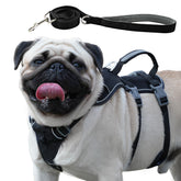 Wuffley arnés canino a prueba de escapadas para paseos seguros