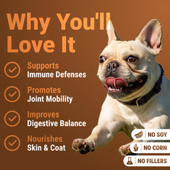 WuffWell cuchara de dosis para perros facilita la toma diaria del hongo.