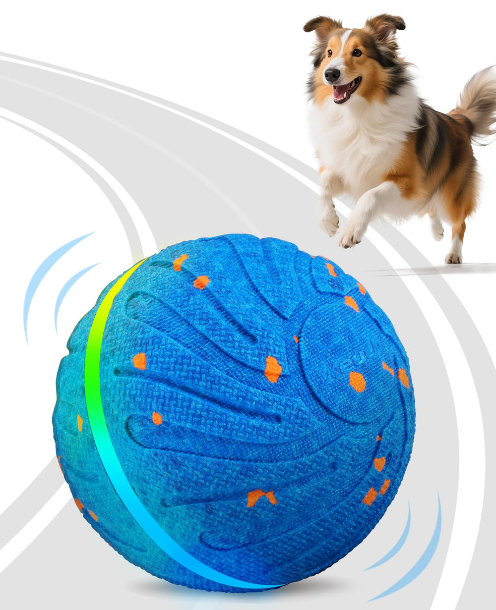 Xeuch Pelota interactiva en acción para perros medianos y grandes