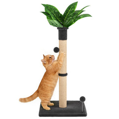 XiaZ base with stable wide platform supports multiple cats and prevents tipping.