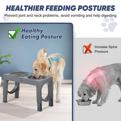 XIAZ tazón para perro con base antideslizante que evita deslizamientos durante la comida.