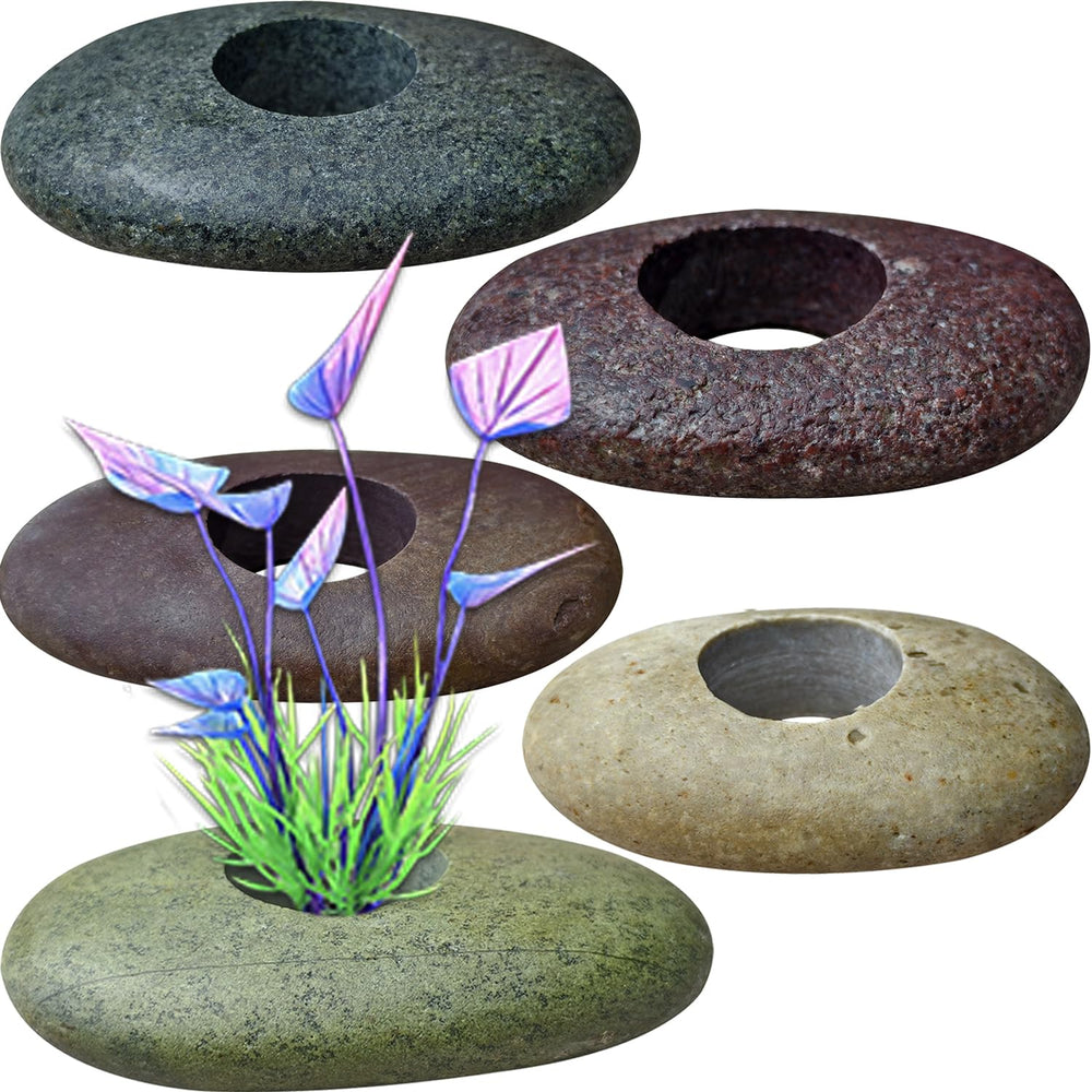Piedras de río naturales XIOFU para fijar plantas en acuario.