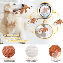 XLMYS hueso-molar-dental-perro: promueve mordida controlada y exploración durante la masticación.