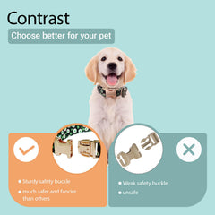 XPangle diseño único realza la personalidad de tu perro en paseos.