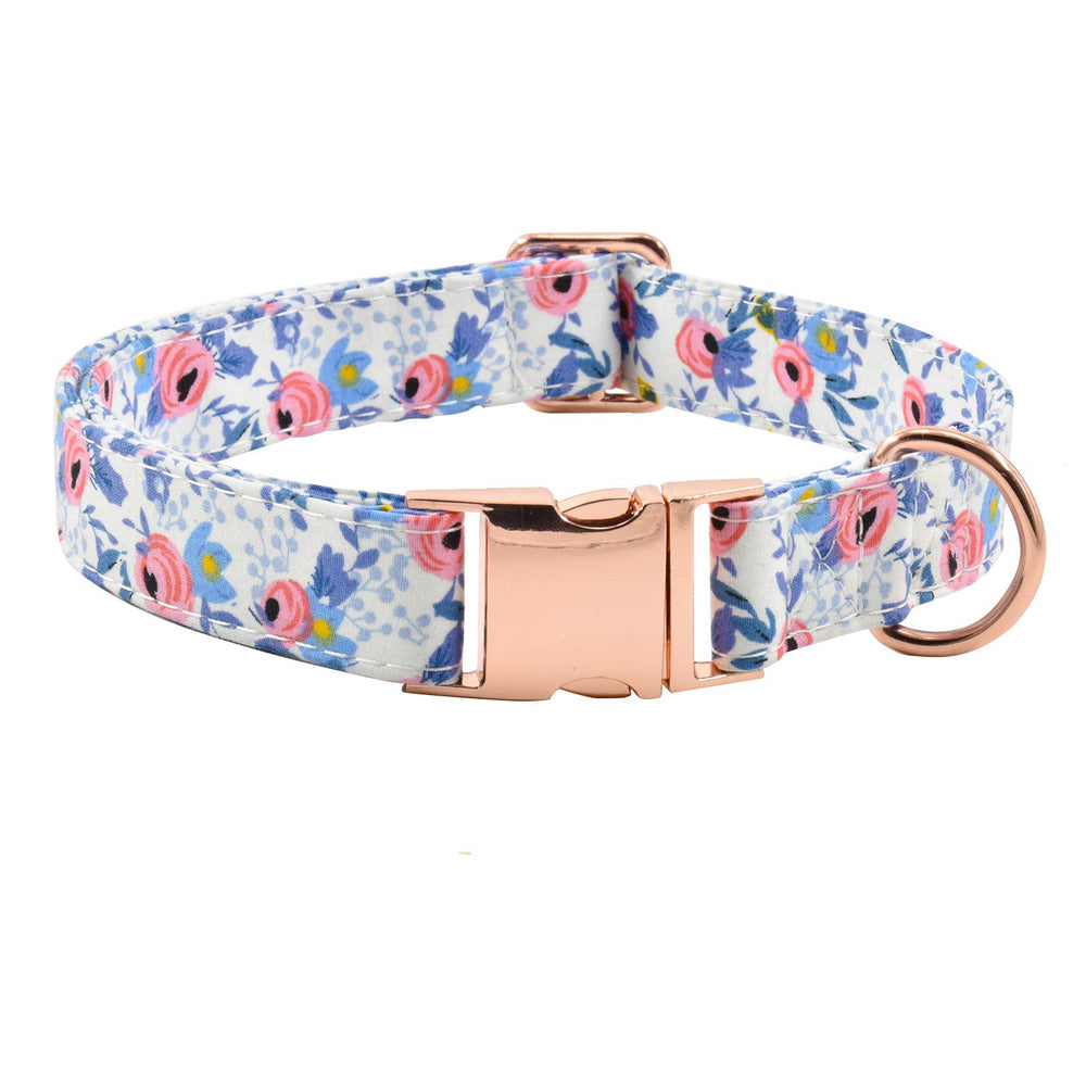 XPangle collar para perro con hebilla de metal ajustable, seguro y cómodo.