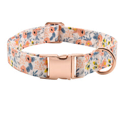XPangle collar para perro con hebilla metalica: ajuste seguro para paseos.