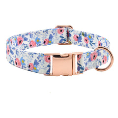 XPangle collar para perro con hebilla metálica ajustable para uso diario y paseos seguros