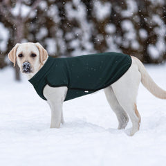 XPUDAC sudadera para perro, textura de forro polar suave y cómodo al tacto.