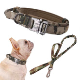 Xqpetlihai collar militar ajustable en camuflaje para perros grandes, cómodo y duradero.
