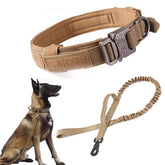 Xqpetlihai collar militar ajustable para entrenamiento y paseo