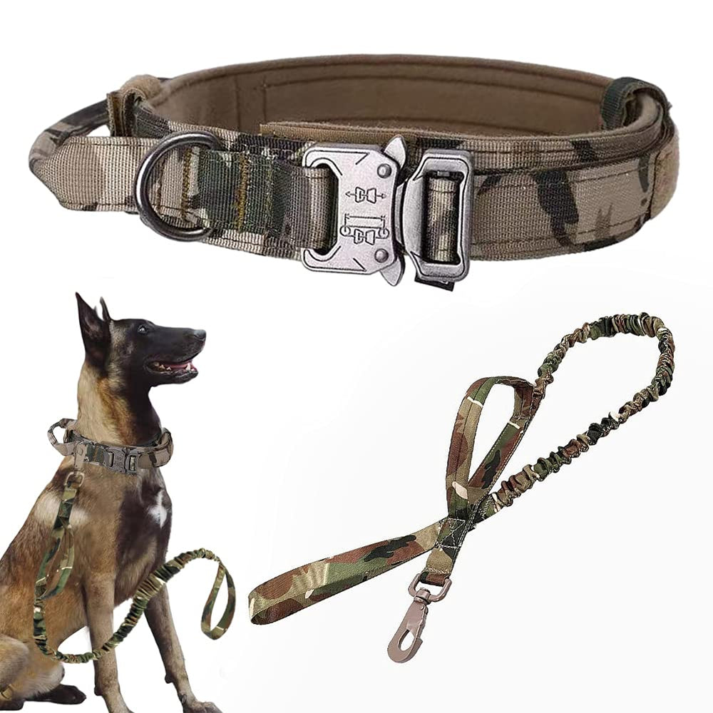 Xqpetlihai collar táctico camuflaje XL, ideal para paseos seguros.