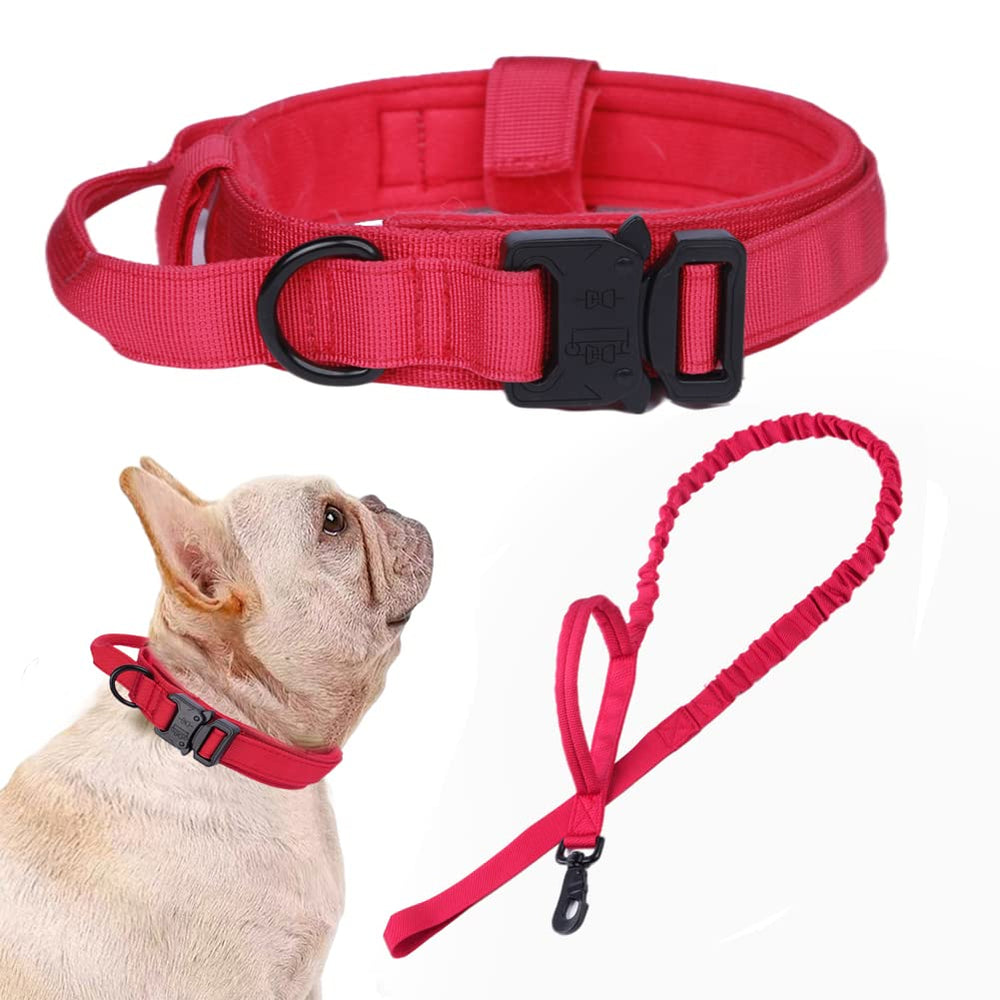 Xqpetlihai collar tactico para perro, ideal para paseos diarios y entrenamiento.