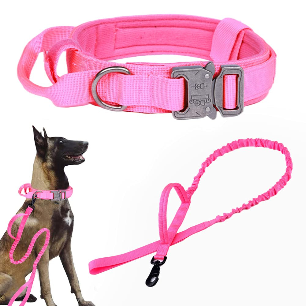 Collar táctico Xqpetlihai con asa de control para manejo seguro.