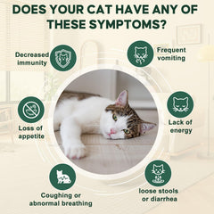 Yakucho lvermect digestivo líquido para gatos y gatitos, favorece equilibrio intestinal.