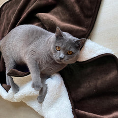 Manta Yaning doble cara sherpa-flannel ofrece dos sensaciones cálidas para mascotas