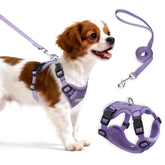 Arnés Ychpaw para perro pequeño en malla reflectante, ideal para paseos.